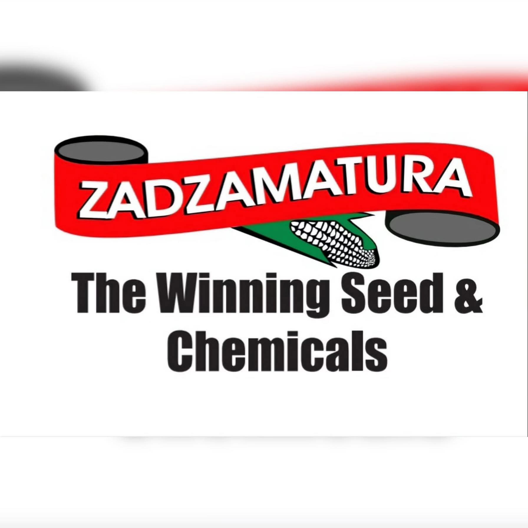 Zadzamatura